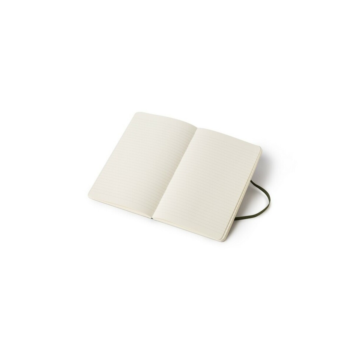 MOLESKINE Notatnik ok. A5 Time Notebook VM025-03_AAA02